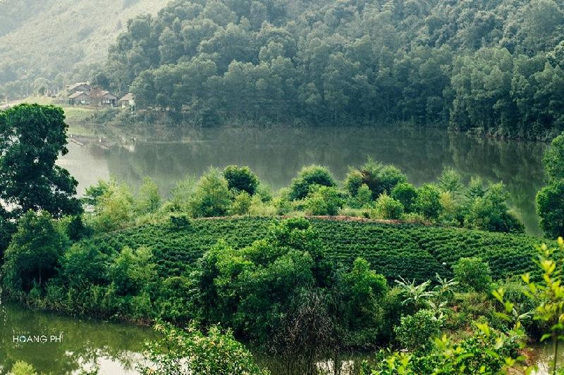 Bình minh tuyệt đẹp trên những đồi chè Tân Cương hình ảnh 8 Binh minh tuyet dep tren nhung doi che Tan Cuong hinh anh 8