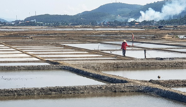 Đồng muối Sa Huỳnh thưa thớt người canh tác dù đang vào vụ chính.