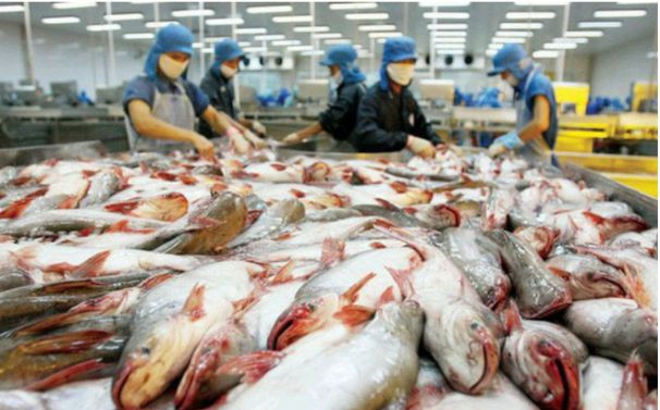 Việt Nam xuất khẩu thủy sản nhiều nhất sang thị trường Mỹ 