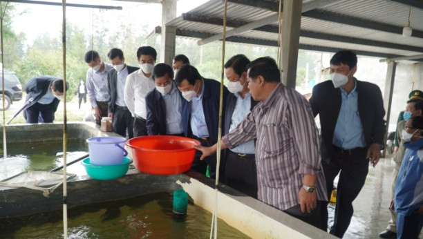 Đoàn công tác kiểm tra việc nuôi trồng thủy sản ven biển. Ảnh: T.T.