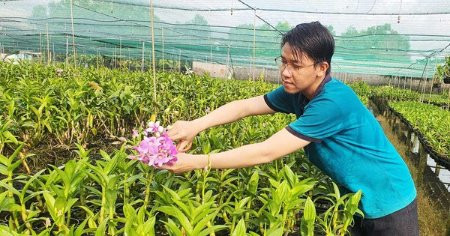TP.HCM phát triển nông nghiệp đô thị