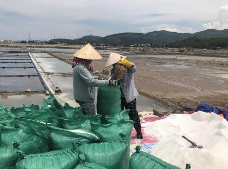 Diêm dân Sa Huỳnh phấn khởi vì giá muối tăng cao 