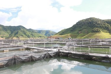 Ban hành chương trình quốc gia nuôi trồng thủy sản giai đoạn 2021 - 2030