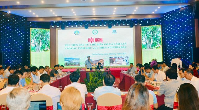 Miền núi phía Bắc có 778 doanh nghiệp chế biến gỗ và lâm sản 