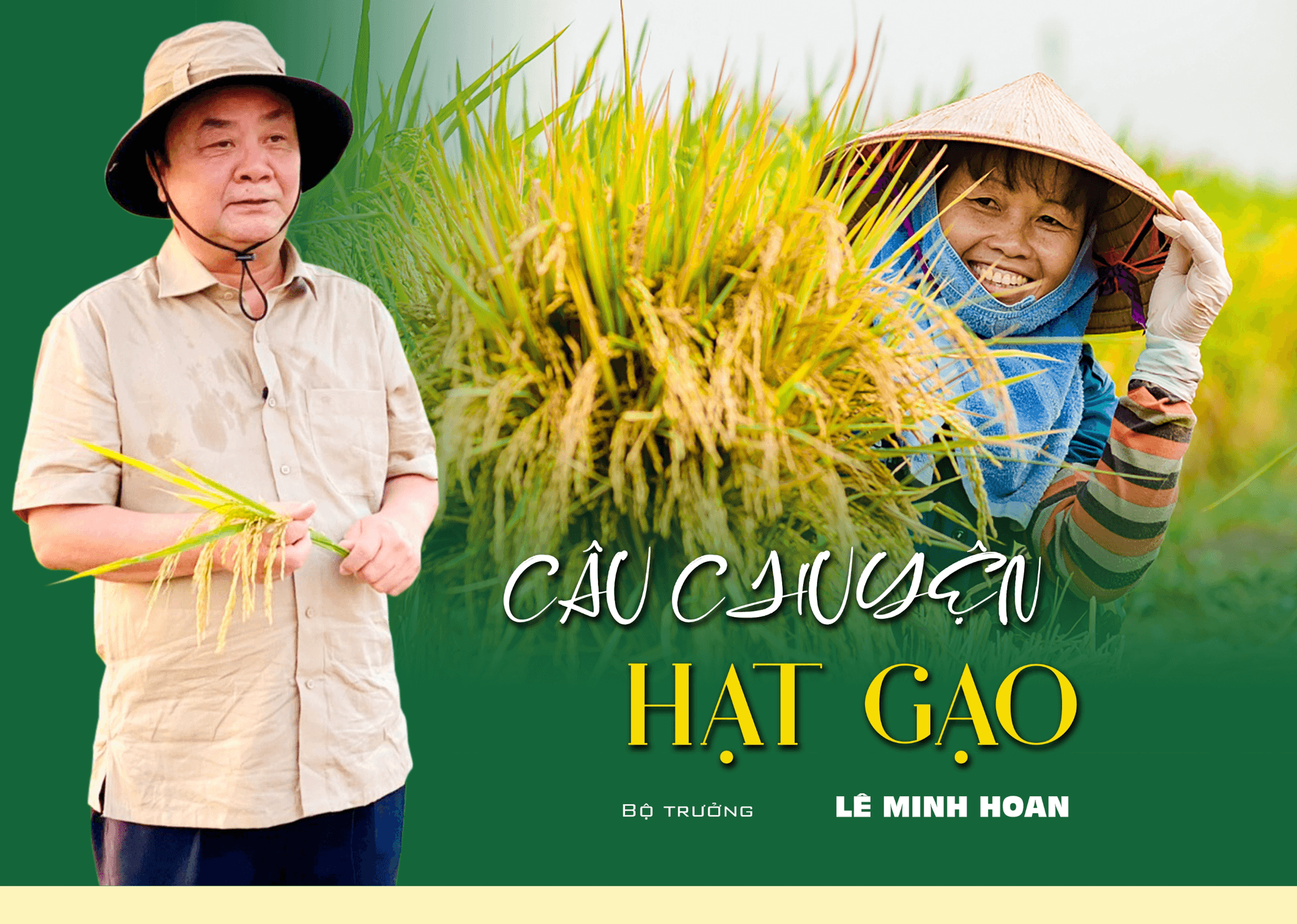 Câu chuyện hạt gạo