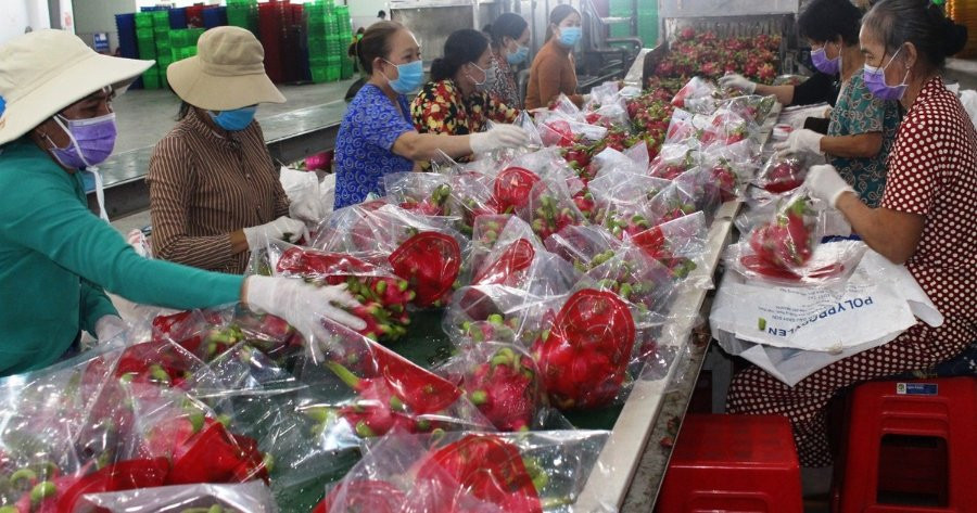 Bảo đảm nguồn nông sản xuất khẩu - Bài 1: Yêu cầu chất lượng ngày một khắt khe
