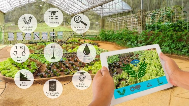Ứng dụng trí tuệ nhân tạo - chìa khóa phát triển nền nông nghiệp hiện đại và bền vững 