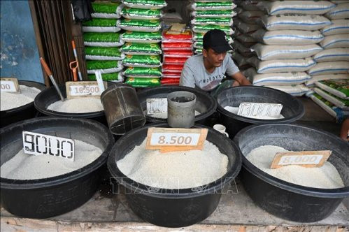 Indonesia lý giải nhu cầu cần nhập khẩu gạo 