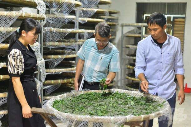 Thành phố Bảo Lộc tiếp tục đàm phán với Trung Quốc để được nhập khẩu trứng giống tằm chính ngạch nhằm đáp ứng nhu cầu sản xuất. Ảnh: Minh Hậu.