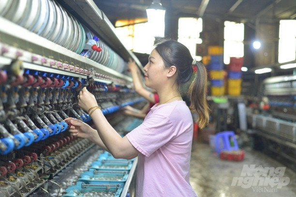 Bảo Lộc được xem là 'thủ phủ' ngành dâu tằm của Lâm Đồng. Ảnh: Minh Hậu