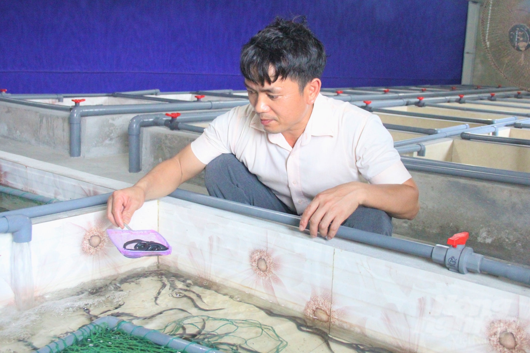 Bể nuôi lươn phải được thiết kế phù hợp với từng giai đoạn phát triển của lươn và thường xuyên được thay nước, vệ sinh sạch sẽ. Ảnh: Trung Quân.