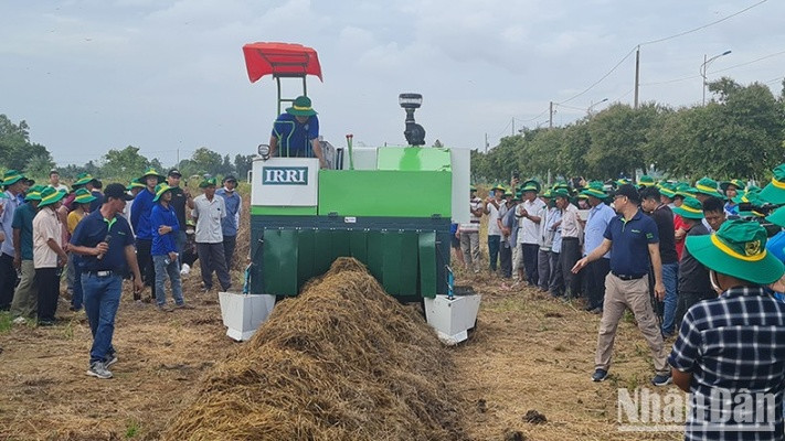Thu gom, xử lý và sử dụng rơm rạ bền vững