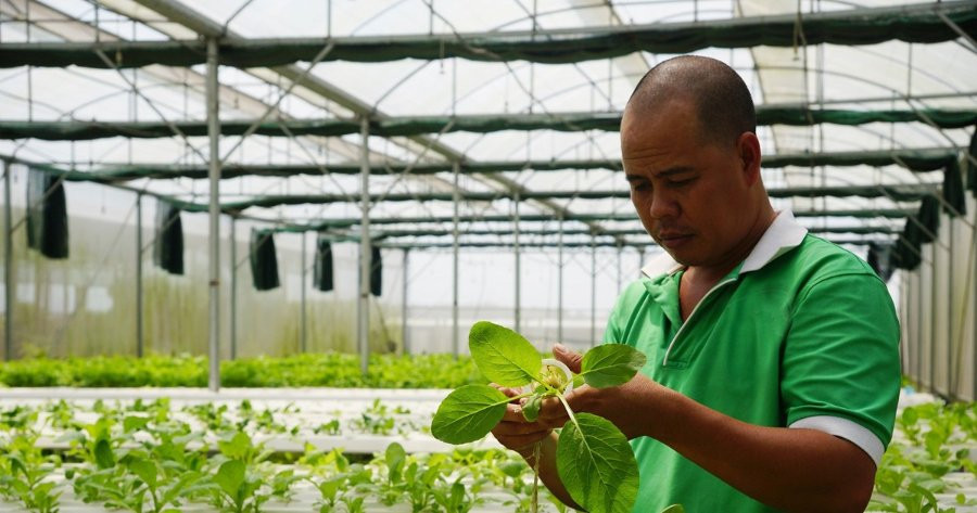 Nông dân “ngại” dùng thuốc bảo vệ thực vật sinh học do giá thành cao