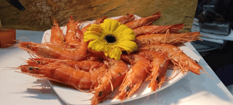 Tôm xuất khẩu sang Mỹ gánh thêm thuế chống trợ cấp 