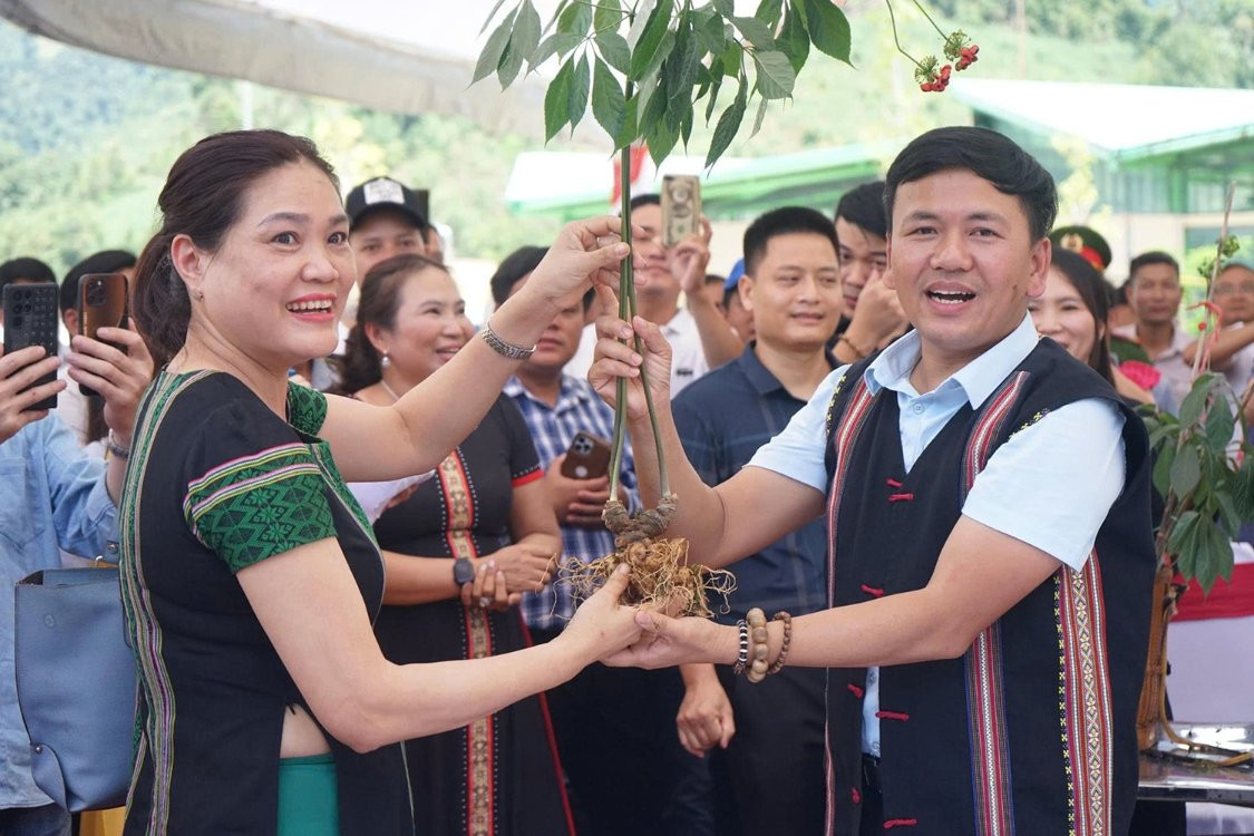 Sâm Ngọc Linh 'chung tay' xóa nhà tạm tại Nam Trà My