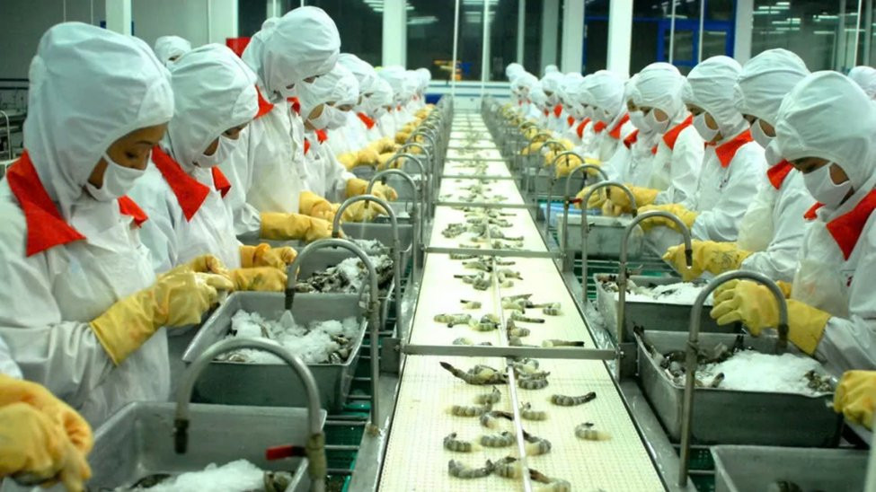 CPTPP khiến xuất khẩu thủy sản Việt Nam sang Australia tăng vọt 