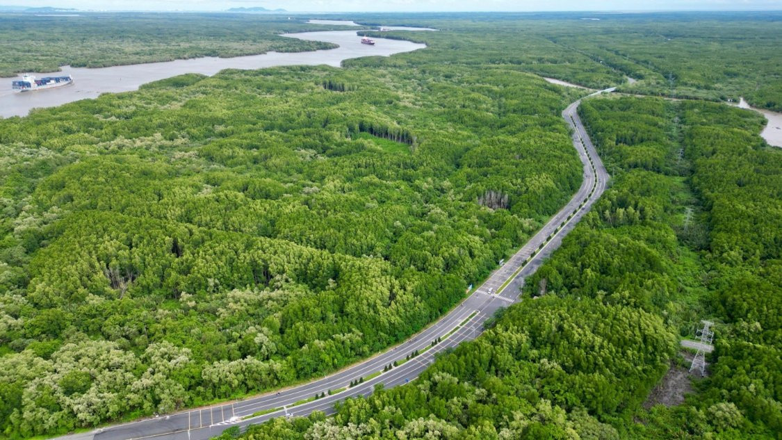 Muốn khai thác tín chỉ carbon rừng ngập mặn tại Cần Giờ: Phải giải quyết 'núi' việc 