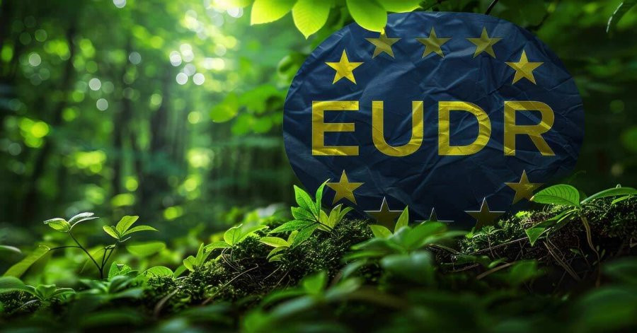 Châu Âu hoãn thực thi EUDR thêm một năm 