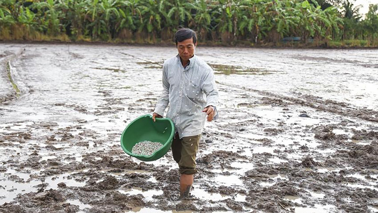Vì sao khi áp thuế GTGT 5% lại tạo điều kiện giảm giá phân bón? 