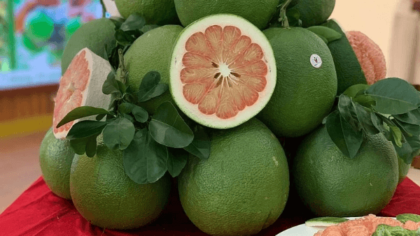 Bưởi Việt Nam lần đầu xuất khẩu sang Hàn Quốc với giá 62.000 đồng/kg 