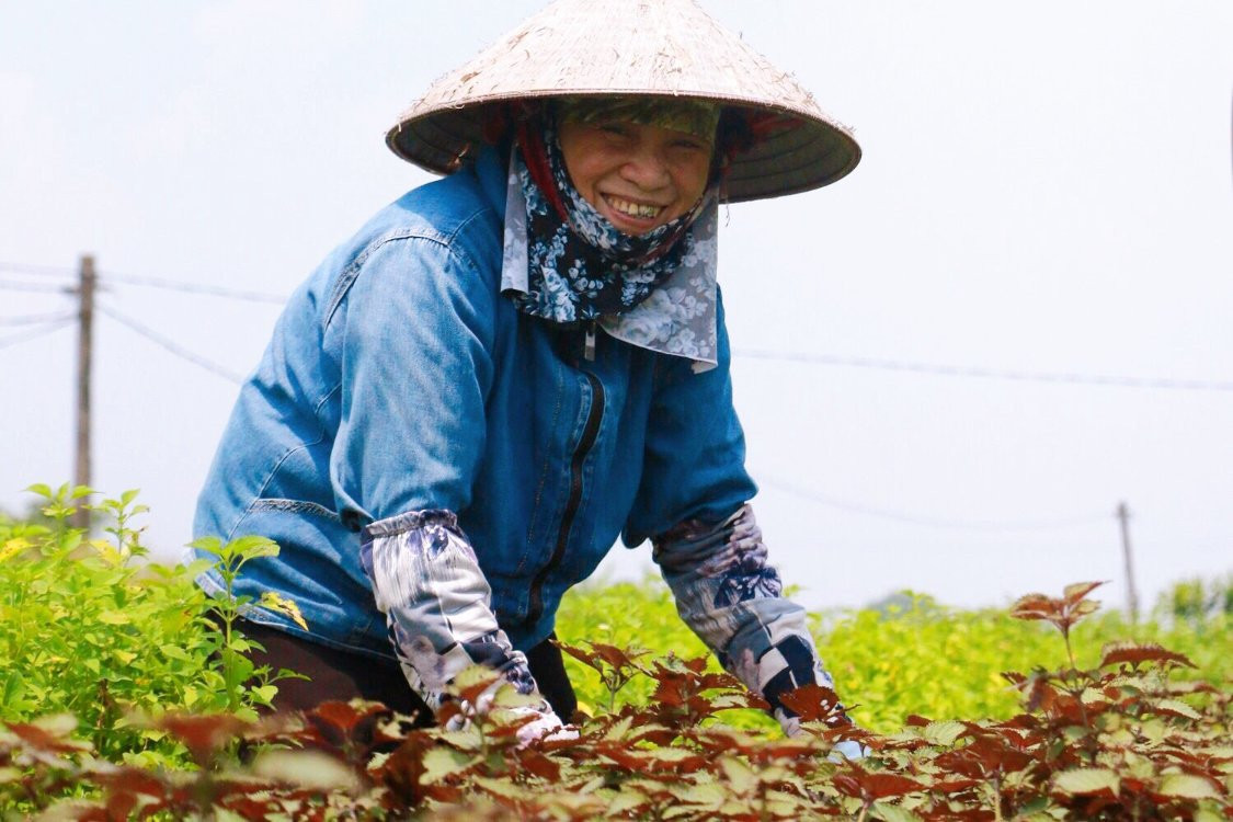Nông thôn mới - con số đẹp và câu hỏi hạnh phúc 