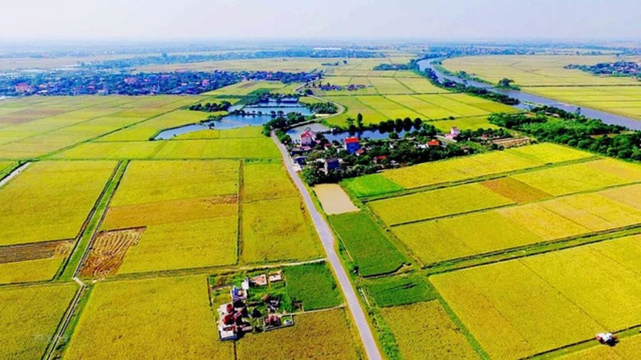 Bộ Tài chính đề xuất ‘giảm mạnh’ chi phí chuyển đổi đất nông nghiệp sang đất ở 