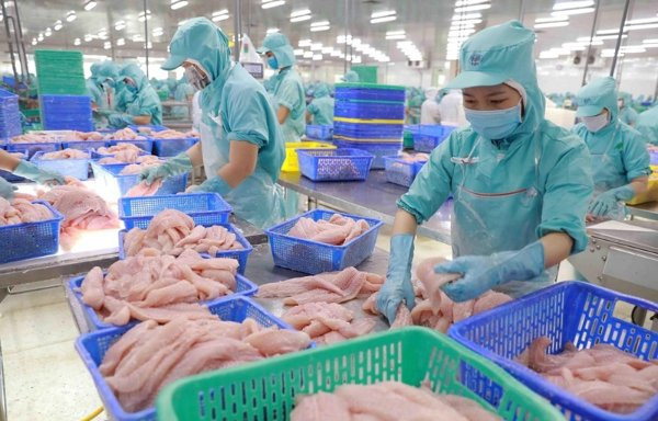 Cá tra lọt top 3 cá trắng tại Mỹ: Tăng trưởng vững chắc trước rào rản và tham vọng toàn cầu