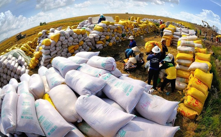 Xuất khẩu gạo Việt Nam đối mặt thách thức: Trầm lắng vì Philippines, doanh nghiệp 'tắc' vốn vì thuế VAT 