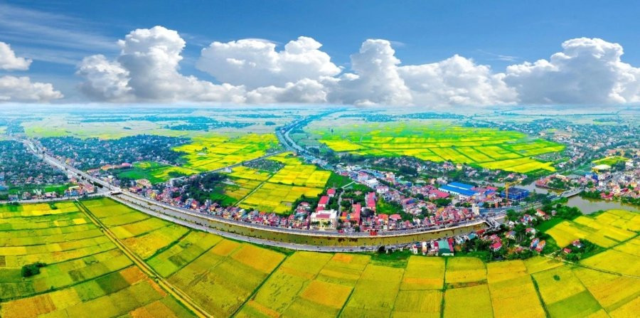Hợp tác xã Nông nghiệp: 'Nhạc trưởng' trong tích tụ đất sản xuất lúa ở Đồng bằng Sông Hồng