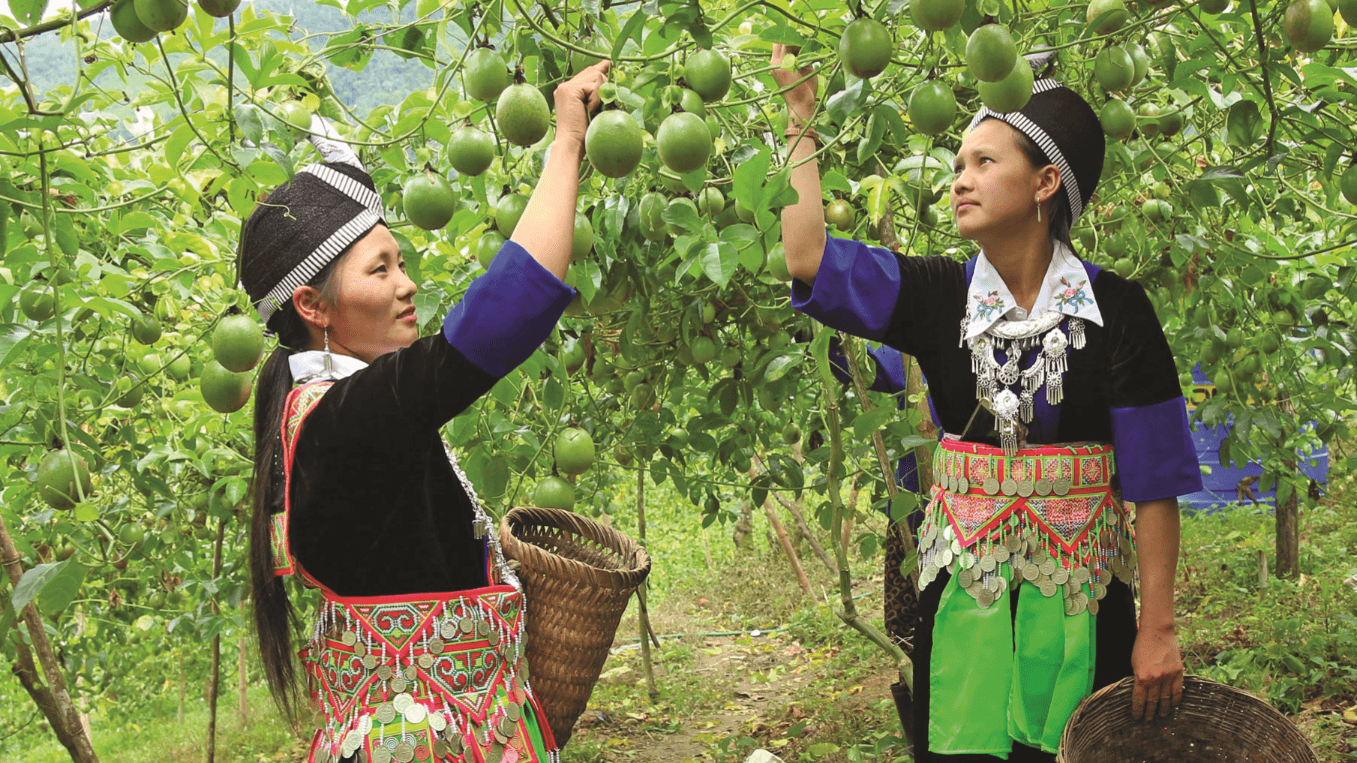 Thống nhất tích hợp 3 Chương trình mục tiêu quốc gia 