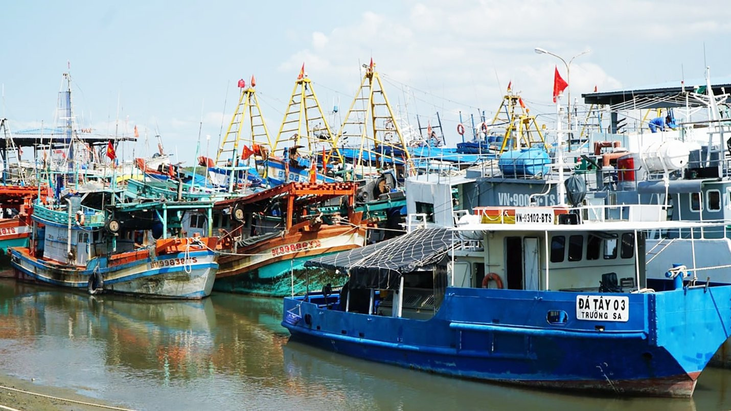 TP.HCM siết chặt đội tàu, dùng VNeID truy chủ tàu vi phạm IUU