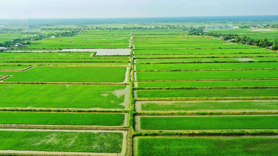 Nông nghiệp hữu cơ ĐBSCL: Lợi ích vô hình, thách thức hữu hình và khát vọng ‘tấm lá chắn’ pháp lý 