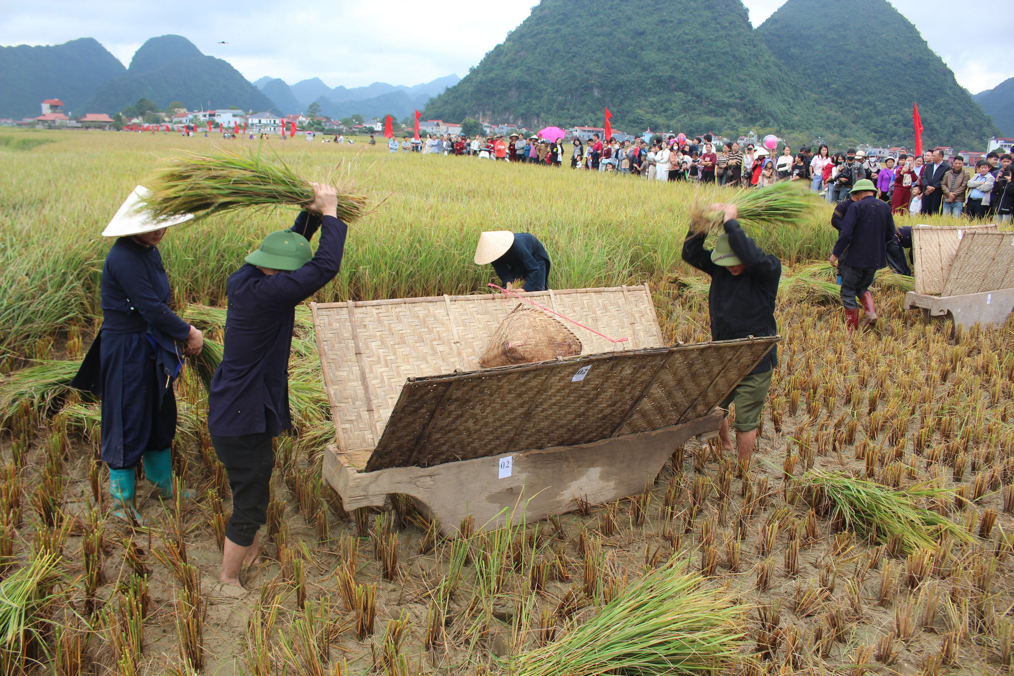 Bắc Sơn - mùa vàng giữa mây trời xứ Lạng