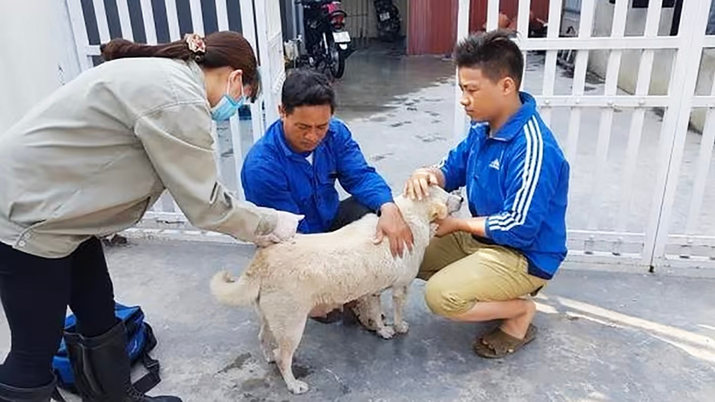 Cú siết cần thiết để từ 'trend thú cưng' tiến đến 'người nuôi văn minh, trách nhiệm'