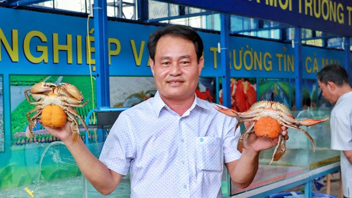 Ngày hội Cua Cà Mau lần đầu tổ chức tại TP.HCM