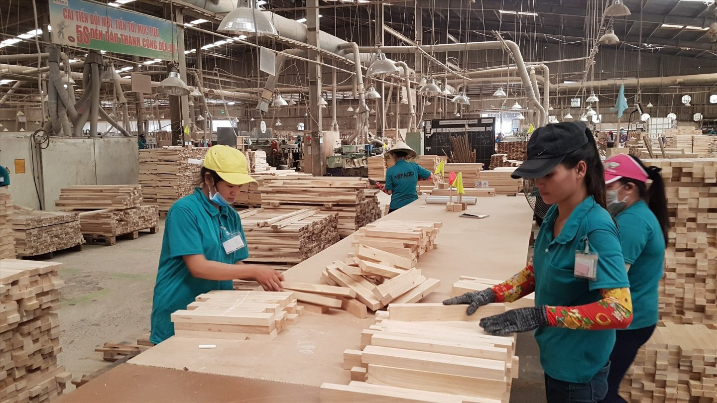 Gỗ và thủy sản ‘đón sóng vàng’: Chiến lược miễn thuế đối ứng của Mỹ củng cố vị thế hàng xuất khẩu Việt 