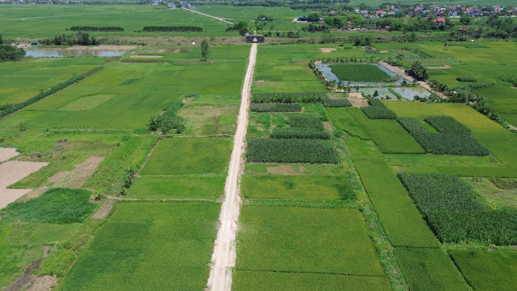 Đất nông nghiệp năm 2025: Động lực đẩy giá bất động sản đô thị 2026 