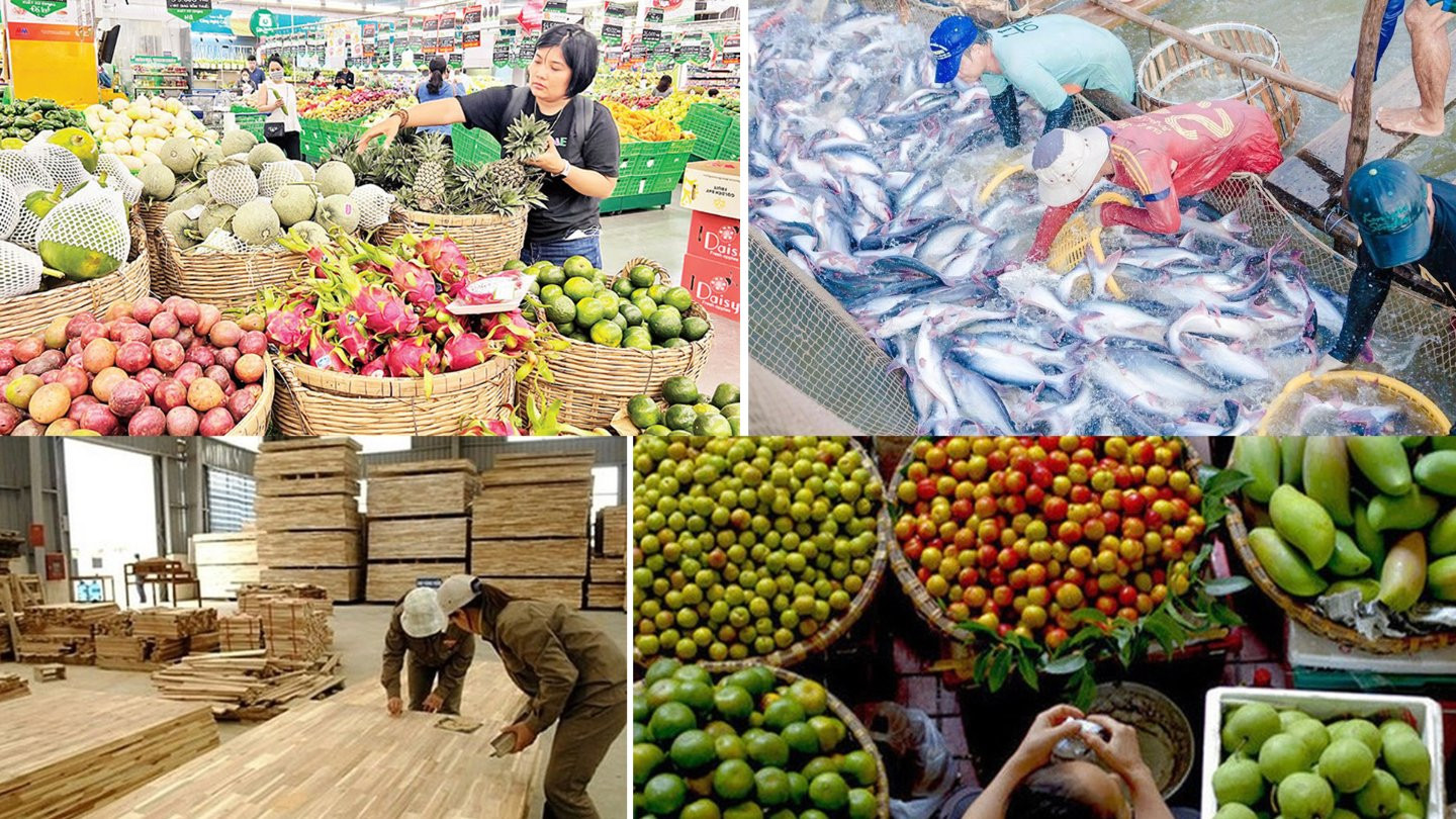 Lập kỷ lục đạt 64 tỷ đô sau 11 tháng, xuất khẩu nông, lâm, thủy sản vượt mốc năm 2024 