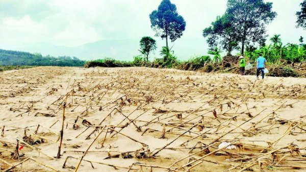 Bảo hiểm nông nghiệp ‘đứng ngoài cuộc’: Nhà nước và người dân ‘oằn lưng' gánh hàng ngàn tỷ đồng