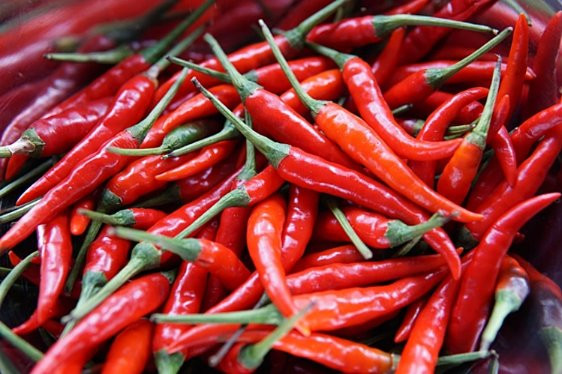 Chi hơn 23 triệu USD nhập khẩu ớt: Nghịch lý của vị thế cường quốc xuất khẩu