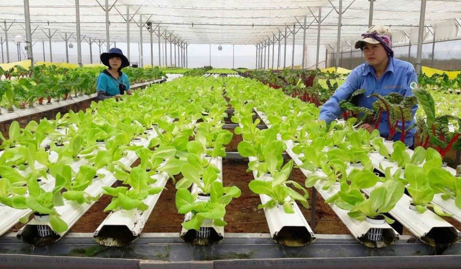 Mở dòng vốn xanh cho nông nghiệp Việt Nam
