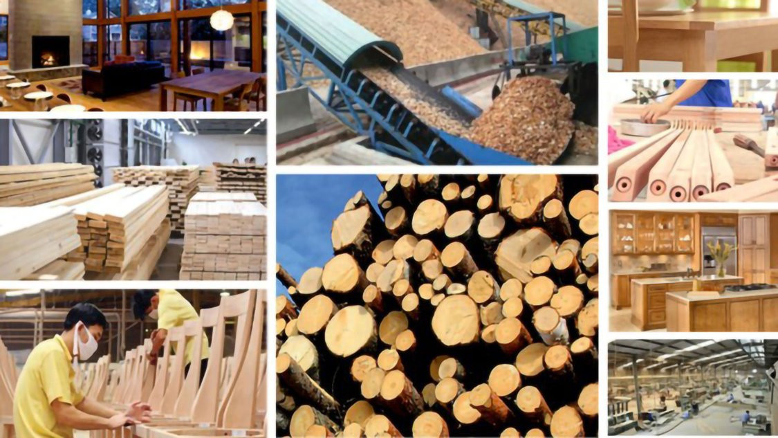 Ngành gỗ Việt ngược dòng thị trường, rộng cửa về đích năm 2025 