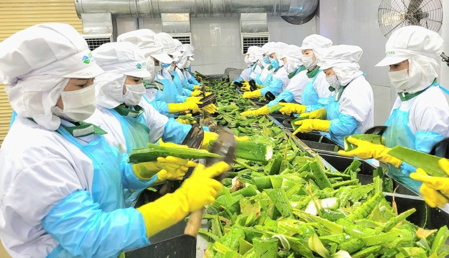 Nông sản Việt 2026: Rời bỏ tư duy bán thô