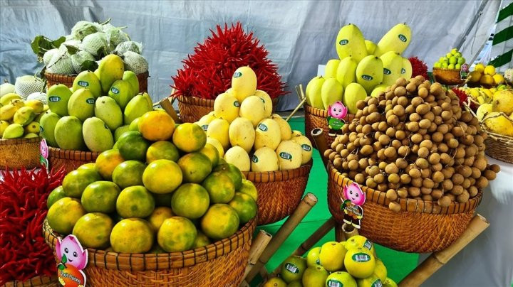 Nông sản Việt 2026: Đổi vị thế hay chỉ đổi số? 