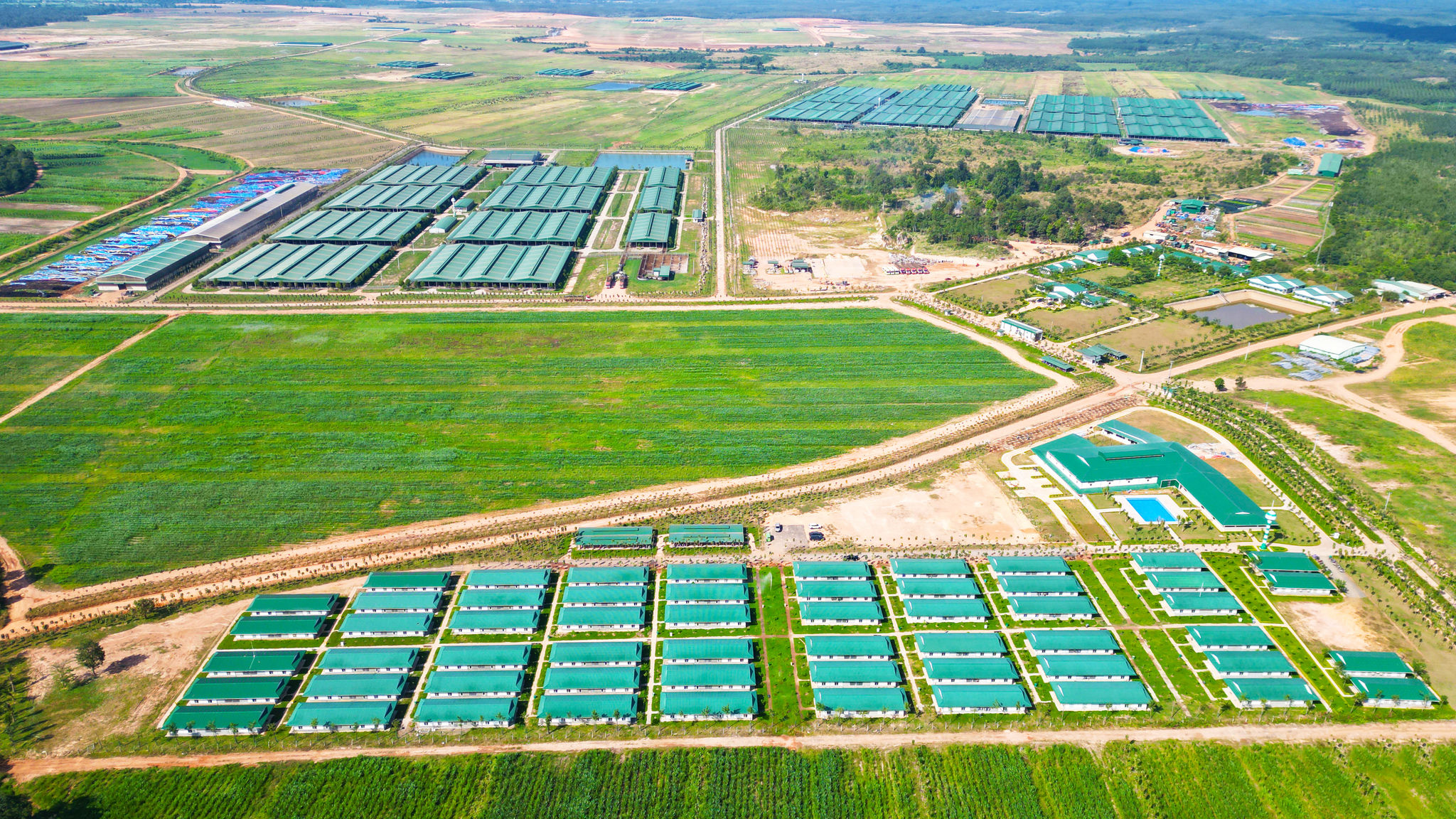 1. Toàn cảnh Dự án Trang trại chăn nuôi bò thịt Ia Puch