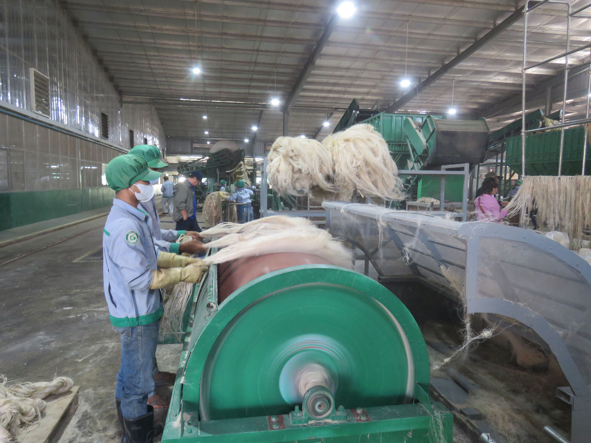 Hệ thống làm sợi vải từ thân chuối