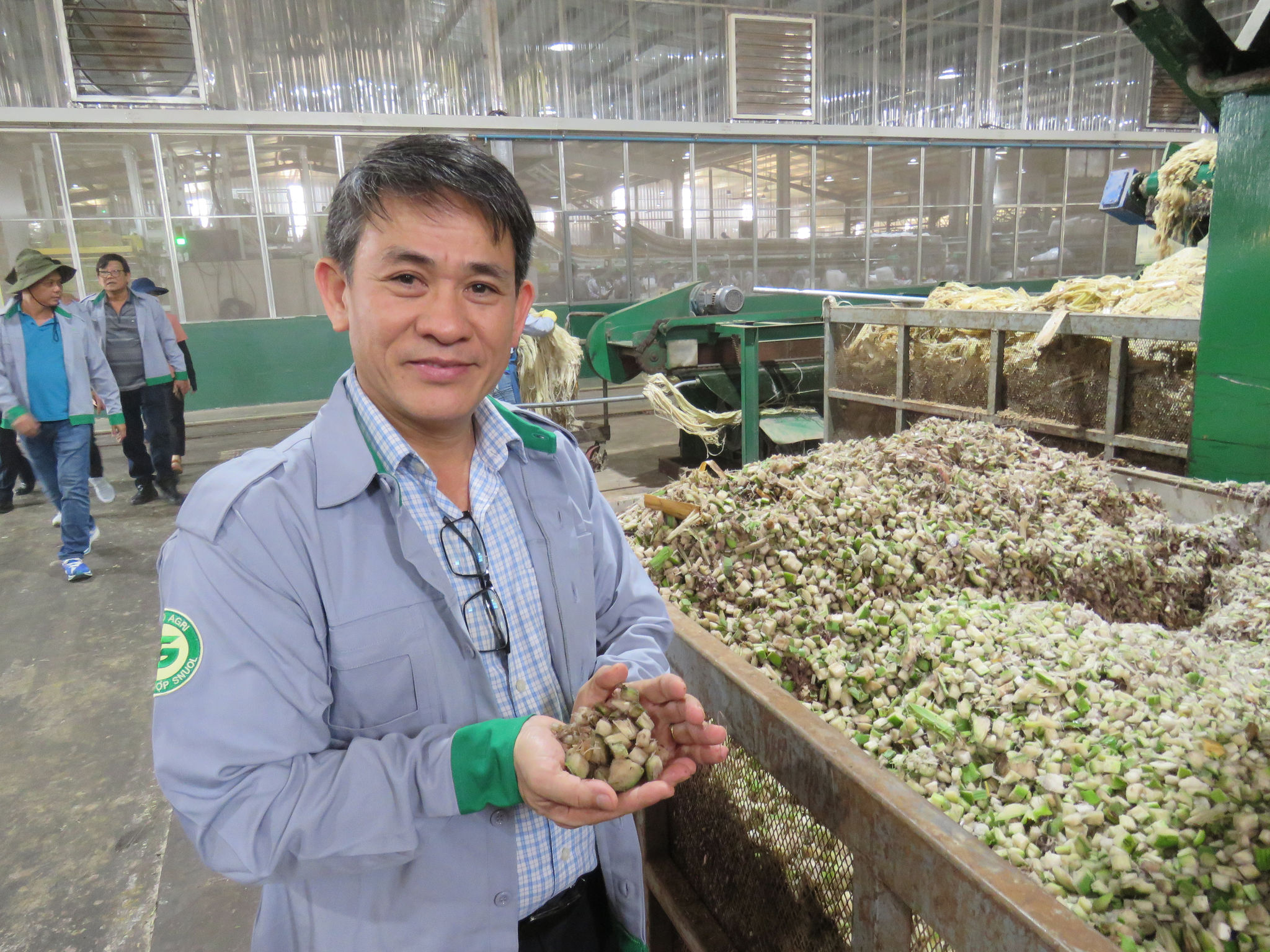 Ông Trần Bảo Sơn Tổng Giám đốc Thaco Agri (ảnh) cho biết thức ăn từ chuối cho bò được tẩm mật để tạo độ ngon kích thích