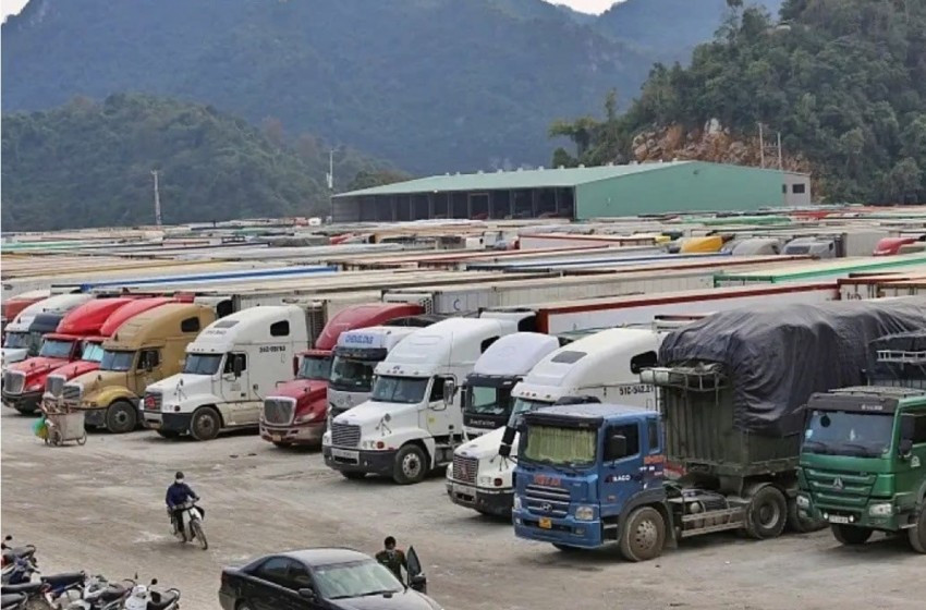 Các đơn vị kiểm tra chuyên ngành tại cửa khẩu đã đồng loạt tạm ngưng cấp giấy chứng nhận kiểm dịch và kiểm tra an toàn thực phẩm cho các lô hàng thực phẩm nhập khẩu_Ảnh_LĐ