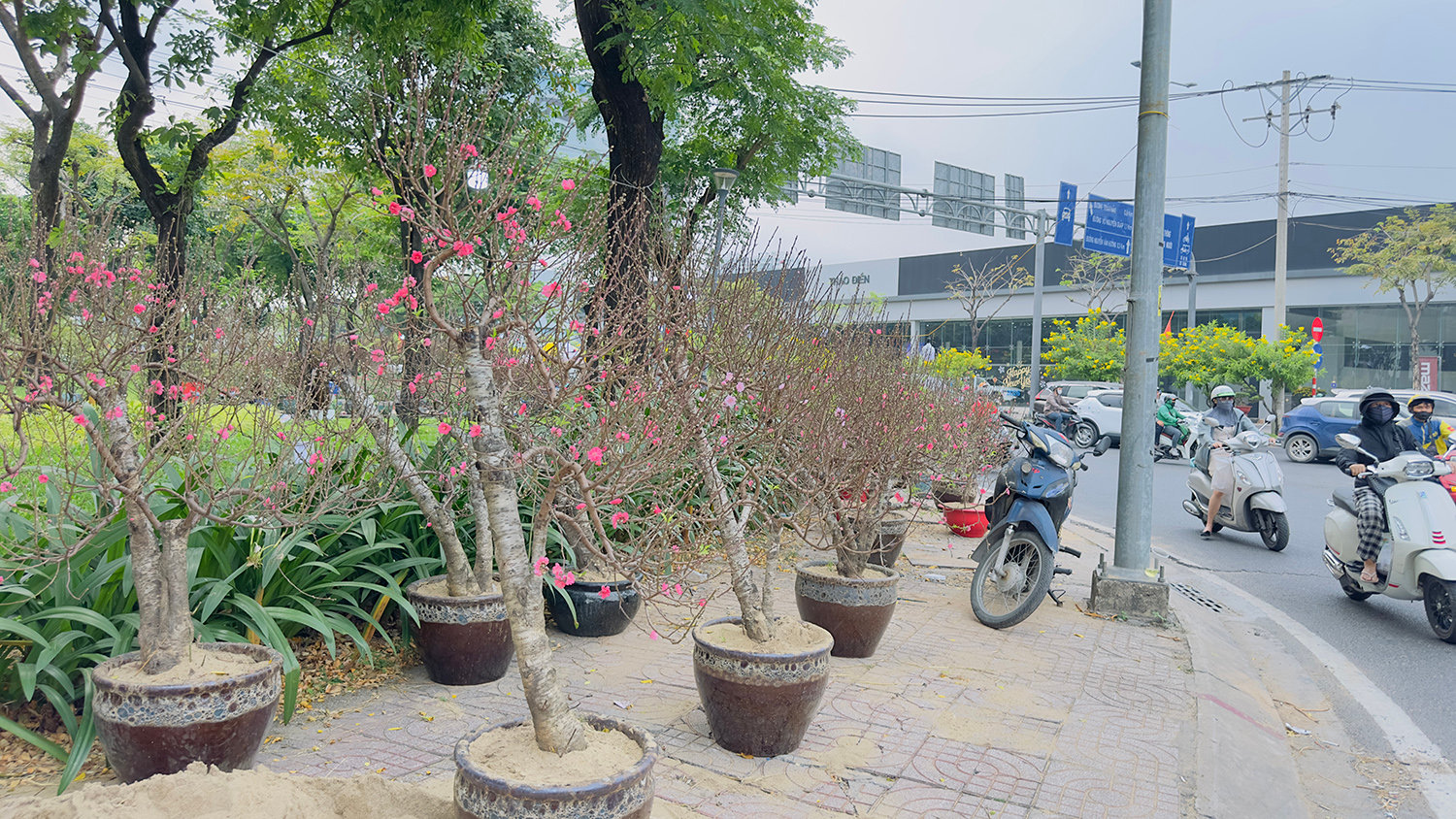 dao-mai-xuong-pho-sai-gon-11.jpg