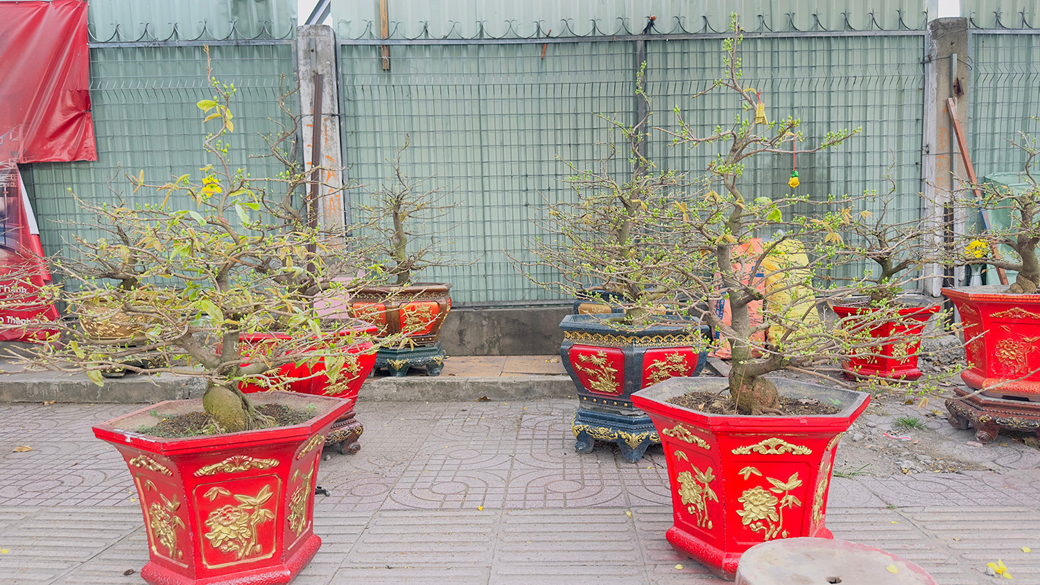 dao-mai-xuong-pho-sai-gon-15.jpg